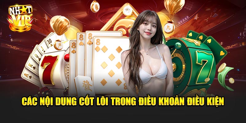 Các nội dung cốt lõi trong Điều Khoản Điều Kiện
