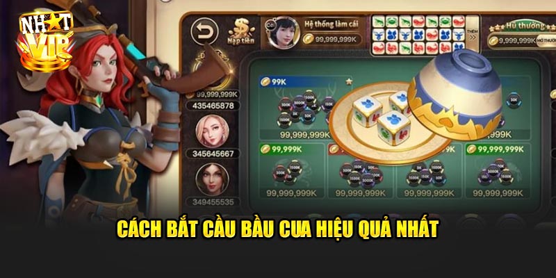 Cách bắt cầu Cầu Bầu Cua hiệu quả nhất