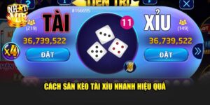 Săn Kèo Tài Xỉu Nhanh – Bí Kíp Bắt Nhịp Tốc Độ Nhatvip