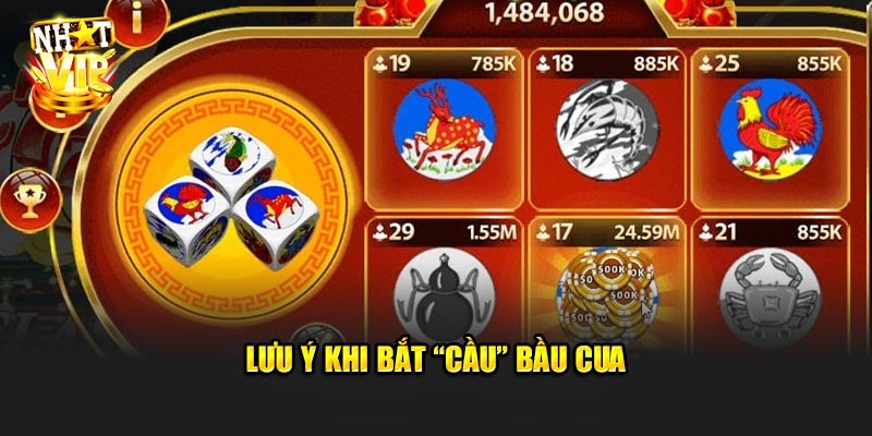 Lưu ý khi bắt Cầu Bầu Cua