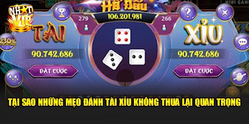 Lý Giải Tại Sao Những Mẹo Đánh Tài Xỉu Không Thua Lại Quan Trọng