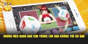 Mẹo Đánh Bầu Cua Trúng Lớn - Chia Sẻ Từ Cao Thủ Nhatvip