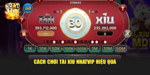 Cách chơi Bầu Cua Nhatvip - Tân Thủ Cũng Có Thể Ăn Đậm!