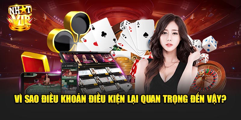 Vì sao Điều Khoản Điều Kiện lại quan trọng đến vậy?